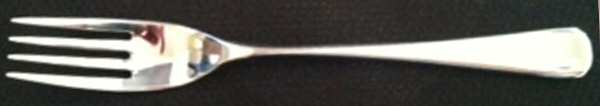 MIS45 (Stainless) Fork