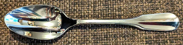 Lacey-Holbrooke (Stainless) Teaspoon