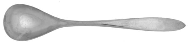 MNF50 (Stainless) Sugar Spoon