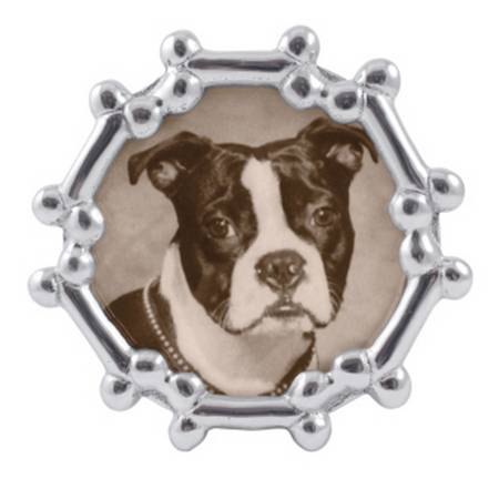 Woof Woof (Aluminum, Hollowware) Frame-Holds 4" X 6"
