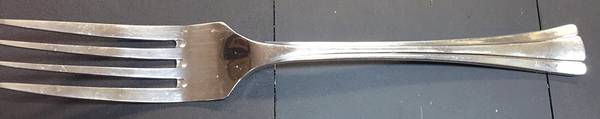 MIS55 (Stainless) Fork