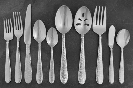 Elyson-Ellyson (Stainless) 45 Piece Starter Set