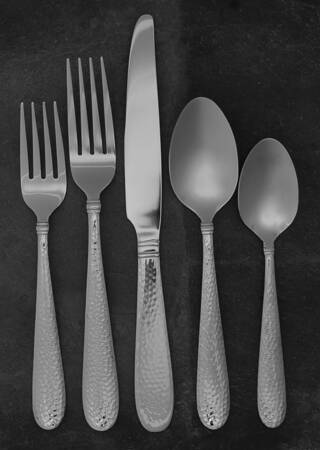 Elyson-Ellyson (Stainless) 5 Piece Place Setting