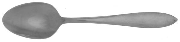 MFS17 (Stainless) Teaspoon