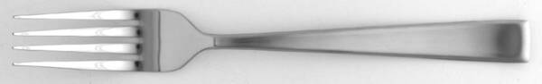 Essex (Stainless) Fork