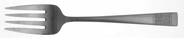 NPS1 (STAINLESS Small Solid Cold Meat Serving Fork