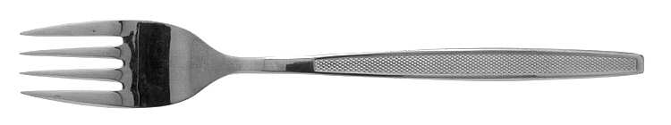 Ns3 (Stainless) Fork