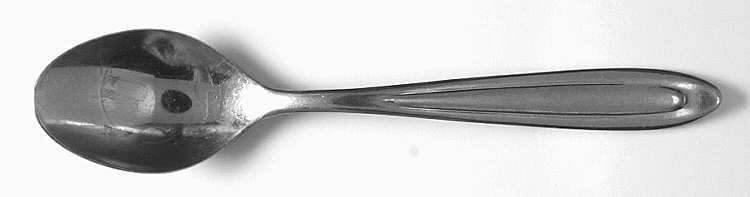 Ns6 (Stainless) Teaspoon