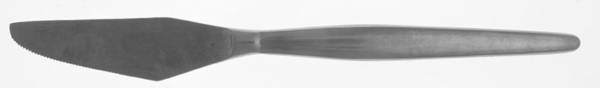 Simplicity (Stainless) Individual Steak Knife Hollow Handle