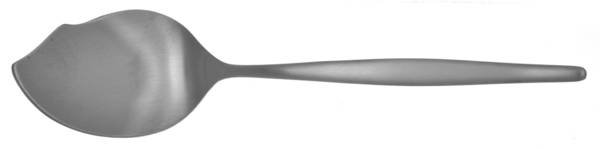 Astron (Stainless) Large Solid Jelly Server