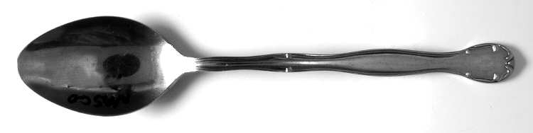 Delft (Stainless) Teaspoon