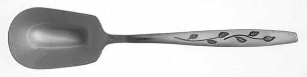 Haiti (Stainless) Sugar Spoon