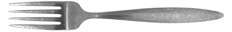 New Mist (Stainless, Taperd End) Fork