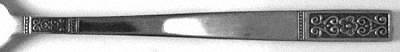 NSS7 (STAINLESS) by Nasco