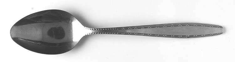 Olympus (Stainless) Teaspoon