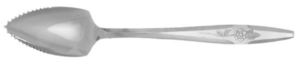 Temptation (Stainless) Fruit/Orange Spoon