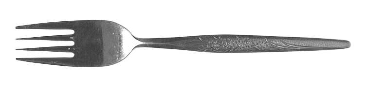 Tina (Stainless) Fork