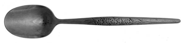 Tina (Stainless) Sugar Spoon