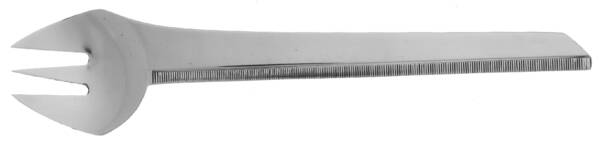 Aries (Stainless) Individual Salad Fork