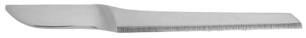 Aries (Stainless) Flat Handle Master Butter Knife