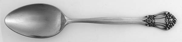 Biarritz (Stainless) Place/Oval Soup Spoon