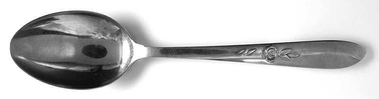Carlyle (Stainless) Teaspoon