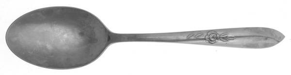 Carlyle (Stainless) Tablespoon (Serving Spoon)