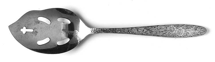 Danielle (Stainless) Solid Pierced Casserole Spoon