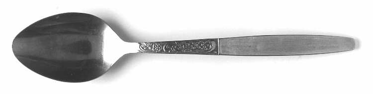 Donna (Stainless) Teaspoon
