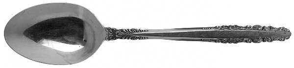Fashion (Stainless) Tablespoon (Serving Spoon)