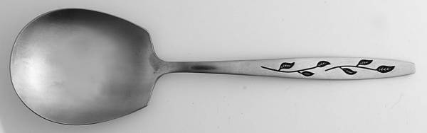 Haiti (Stainless) Solid Smooth Casserole Spoon