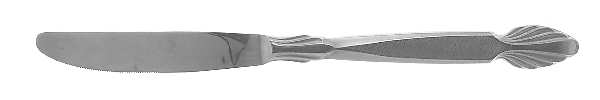 La Costa (Stainless) Modern Solid Knife