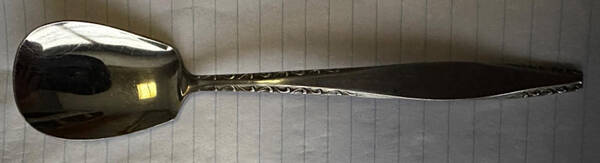 Manor (Stainless) Sugar Spoon