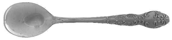 Nancy (Stainless) Sugar Spoon
