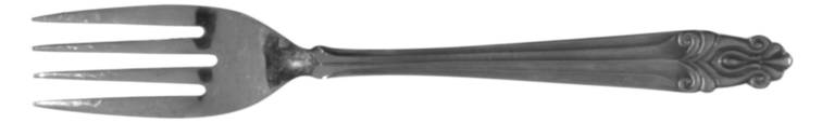 NST10 (Stainless) Individual Salad Fork
