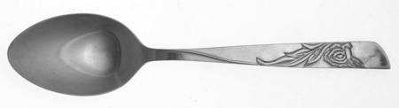 NST12 (STAINLESS) Teaspoon
