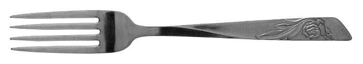 NST12 (STAINLESS) Fork