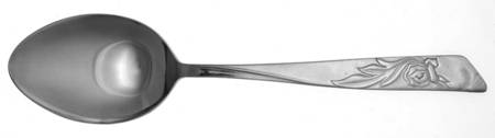 NST12 (STAINLESS) Tablespoon (Serving Spoon)