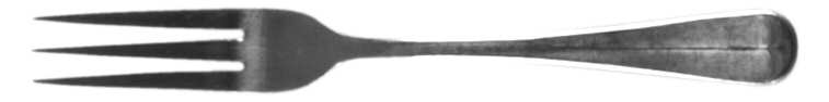 NST14 (Stainless) Fork