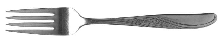 NST17 (STAINLESS) Fork