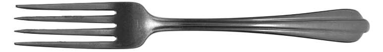 NST23 (Stainless) Fork