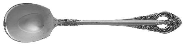 NST24 (Stainless) Sugar Spoon