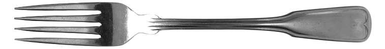 NST26 (Stainless) Fork