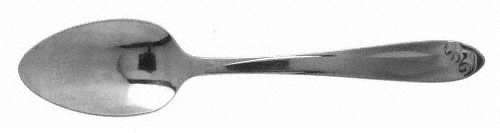 NST31 (Stainless) Teaspoon