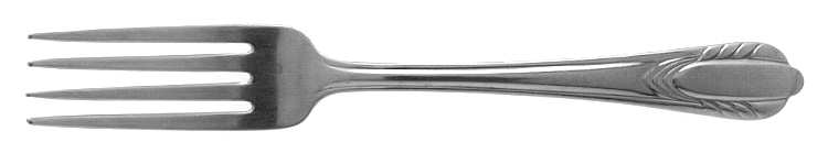 NST42 (Stainless) Fork
