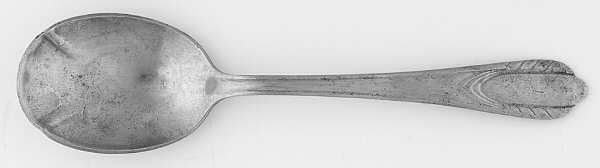 NST42 (Stainless) Sugar Spoon