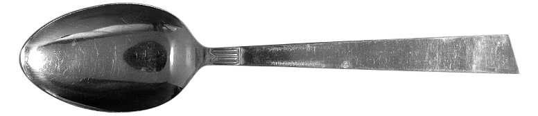 NST43 (STAINLESS) Teaspoon