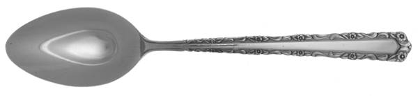 NST46 (STAINLESS) Teaspoon