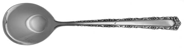 NST46 (STAINLESS) Sugar Spoon