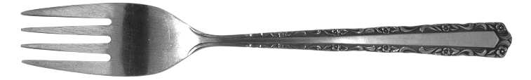 NST46 (STAINLESS) Fork